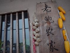 -老鲍农家乐