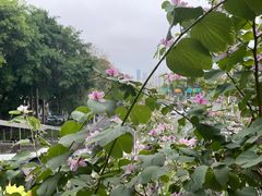 -深圳美澳口腔·种植修复中心