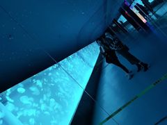 -多彩贵州城极地海洋世界