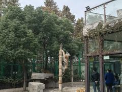 -上海野生动物园