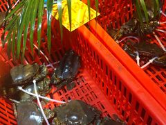 -79号渔船海鲜饭店(华强北店)