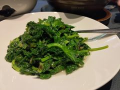 腌菜鸡油炒豆尖-翠府(翠湖北路店)