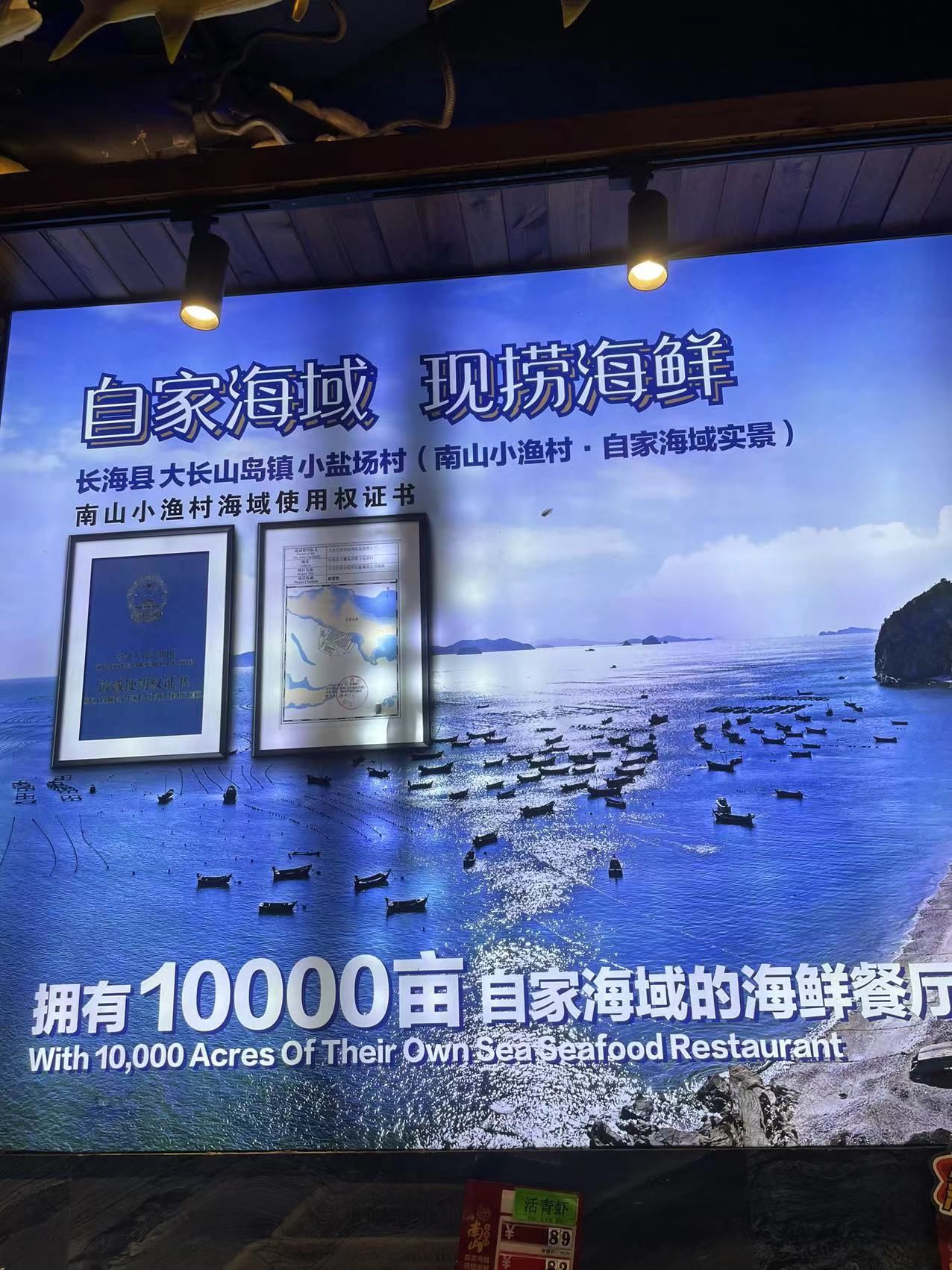 小平岛海胆是一种常见的海洋生物,它是一种