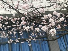 -公益图书馆(江南大学店)