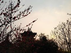 -杭州半山国家森林公园