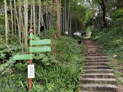 -龙井村