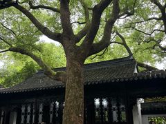-上海醉白池公园