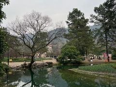 -杭州黄龙洞