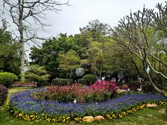-大湾区中央湿地公园