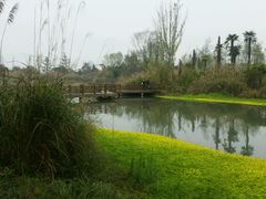 -桤木河湿地公园