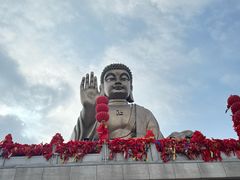 -龙口南山旅游景区