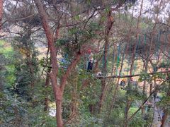 -芦仙山景区-飞越丛林探险乐园