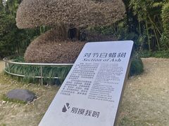 -苏州河梦清园环保主题公园