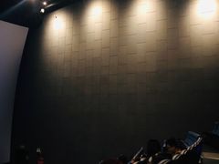 -CGV影城(壹方城IMAX店)
