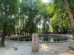 -中华三祖圣地黄帝城遗址文化旅游区