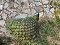 -苏州环秀晓筑养生度假村