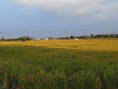 -上海佘山国家森林公园天马山园