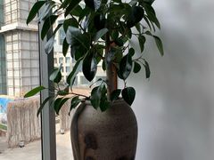 -蔓兰家的四季S0餐厅·融合菜(当代MOMA店)