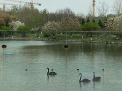 -春晖园度假酒店温泉