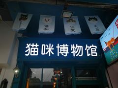 -猫咪博物馆(顶澳仔猫街店)