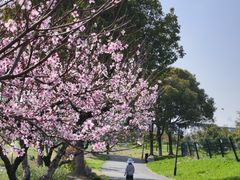-嬉乐湾休闲旅游区