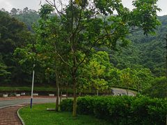 -火炉山森林公园