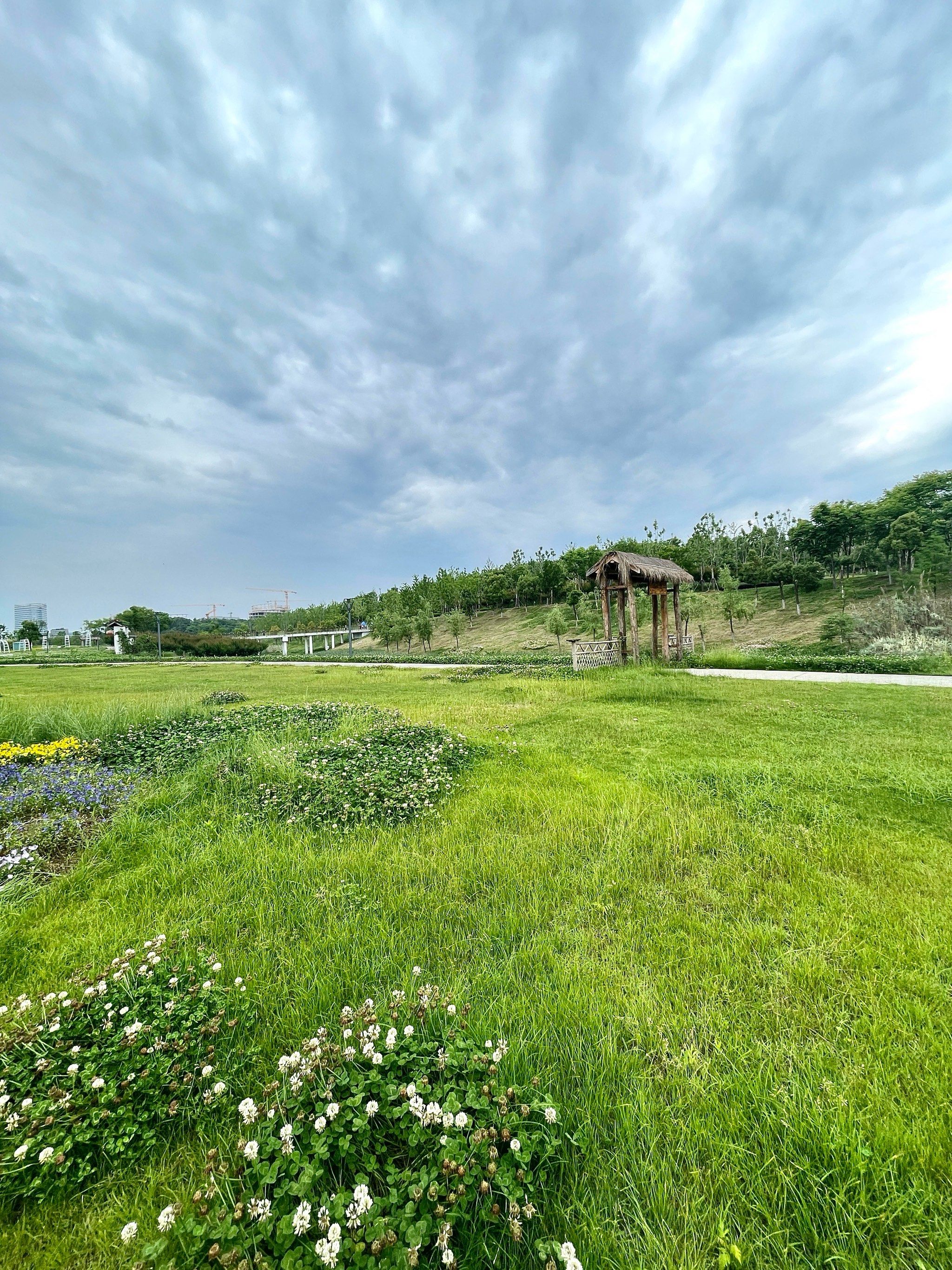 武汉光谷大草原