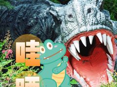 -青岛方特梦幻王国