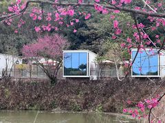 -南丹山森林王国