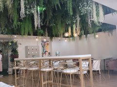 -Husky Go! 哈士奇体验馆·宠物咖啡厅狗咖