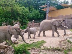 -石家庄市动物园