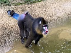 -杭州野生动物世界