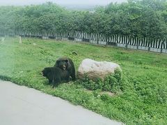 -秦岭欢乐世界