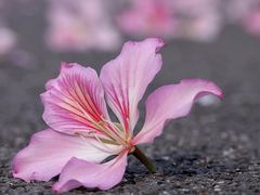 -广州国际生物岛