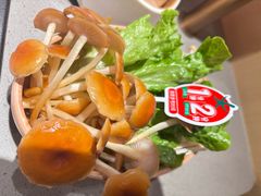 -海底捞火锅(泉城路店)