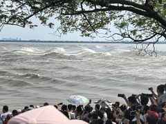 -观潮胜地公园