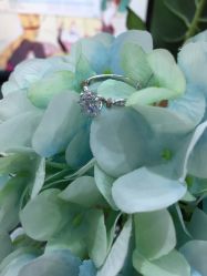 -威德钻石-克拉钻大本营(南京东路店)