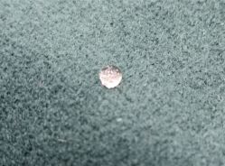 -兰瑜伽·普拉提