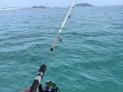 -小猫钓鱼海钓俱乐部(椰梦长廊店)