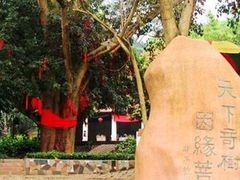 -南宁良凤江国家森林公园