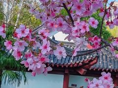 -堤角公园