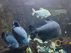 -嘉兴海底世界