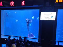 -太平洋海底世界