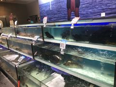 海鲜-盒马鲜生(红莲店)