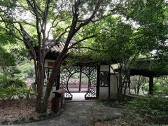 -汇龙潭