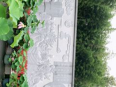 -陈家山荷花公园