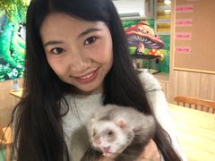 -藦茜花园宠物主题亲子互动体验馆(国顺东路店)