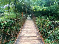 -中国茶叶博物馆(双峰馆区)