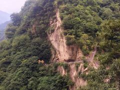 -洛阳白云山景区