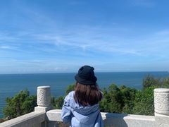 -广东惠东海龟国家级自然保护区